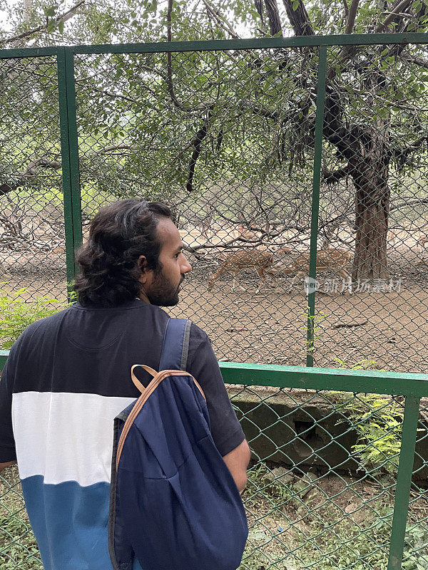 特写图像，印度男子背着一个帆布袋看着休闲鹿(Dama Dama)，在鹿公园的链式围栏后面吃草，公共野生动物保护区，后视图，关注前景